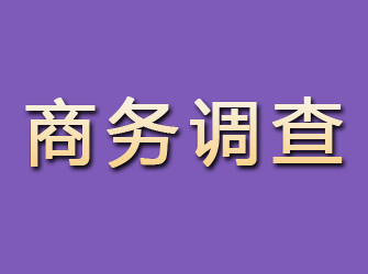 根河商务调查